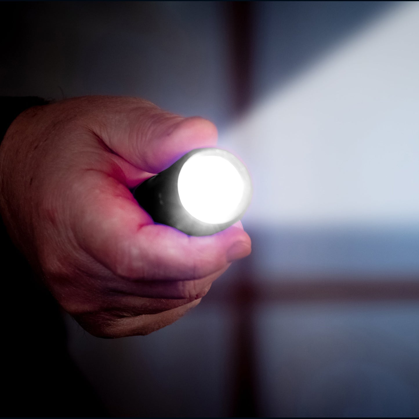 Light Saver Tactical Torch